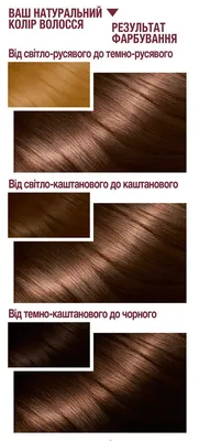 Стойкая крем-краска для волос Syoss Color, 5-8 Ореховый светло-каштановый,  115 мл - купить в Лента - СберМаркет, цена на Мегамаркет