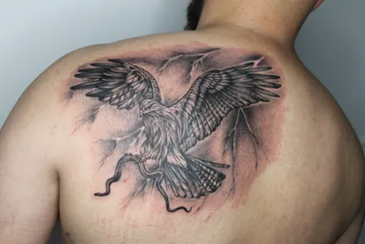 Тату на спине орел - 8 Фото и значение татуировок 2024