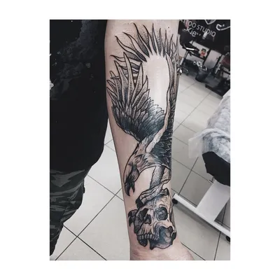 Paradox Tattoo - Орел🦅 Работа выполнена за 2 сеанса. Автор:  @master_vasiliy 🖤 Записаться на бесплатную личную консультацию: 940-955📞 # татуировка #tattoo #рек #томск #paradox #регион70 #тату | Facebook