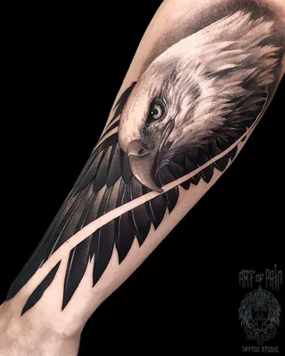 Татуировка мужская реализм на предплечье орел | Eagle tattoo, Eagle  tattoos, Tattoos
