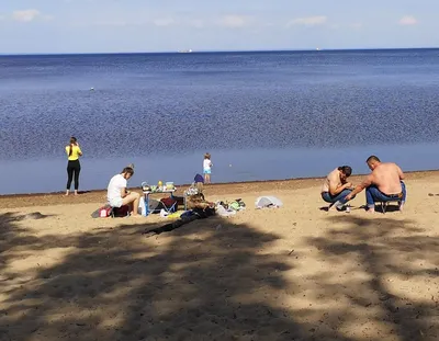 Интересные фотографии \"дикого\" пляжа на Балтике. Показываю, как отдыхают на  море обычные питерцы, которые не уехали на юг | Жизнь в движении | Дзен