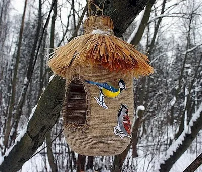 15 кормушек для птиц: своими руками и почти бесплатно | Новгородский  строитель | Дзен
