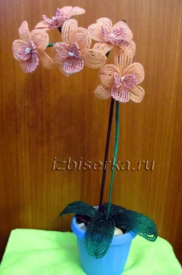 Орхидеи из бисера фото и схемы фото