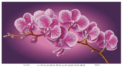 Схема картины Нежные Орхидеи для вышивки бисером на габардине (ТК005пн4695)
