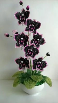 Орхидея из бисера своими руками (76 фото) - схемы с описанием и пошаговые  мастер-классы для начинающих