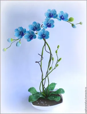 Вышивка Гармония орхидеи бисером купить схема Тэла Артис ТА-234.интернет  магазине Вышиваю Я с доставкой.