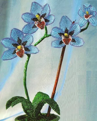 Замысловатая орхидея — Бисерок