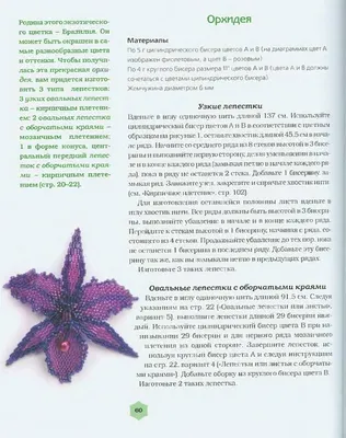 Схема для Вышивки Бисером - Яркость Орхидеи — Купить на BIGL.UA ᐉ Удобная  Доставка (1837727971)