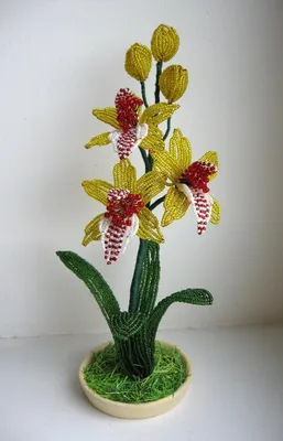 Схема для вышивки бисером габардин 20,5х25 см Орхидея купить по цене 0.00  грн в магазине рукоделия 100 идей