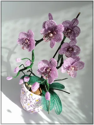 Орхидея из бисера: схемы плетения с описанием и лёгкий мастер-класс с  фотографиями лучших идей для создания цветочных композиций