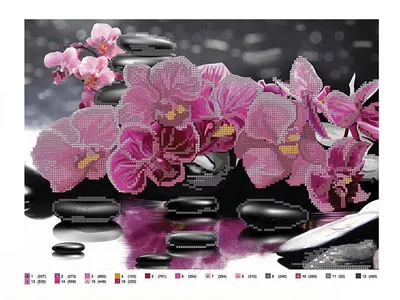 Купить А4-К-1135 - Схема для вышивки бисером Орхидеи | Мамино лукошко
