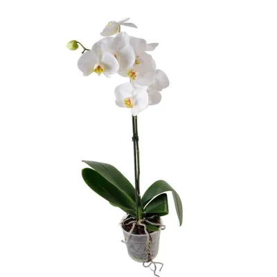 Искусственная орхидея в горшке розовая - орхидеи в горшках искусственные  купить