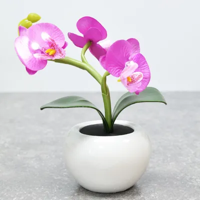 Купить FEJKA ФЕЙКА - Искусственное растение в горшке, Орхидея белый с  доставкой до двери. Характеристики, цена 699 руб. | Артикул: 40371961