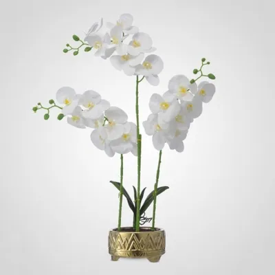 Орхидея в горшке 80см 0262-15