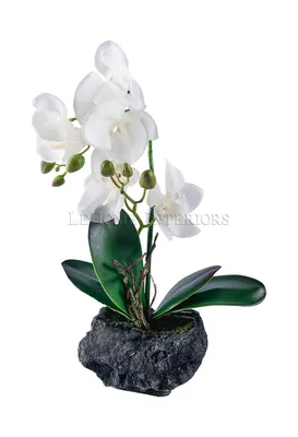 Орхидея в горшке 78см 0262-11