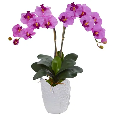 Орхидея Фаленопсис - «Как выбрать хорошую орхидею и как ее не загубить.  Пытаюсь восстановить тургор листьев» | отзывы