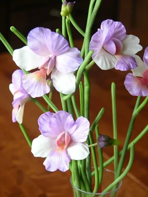 купить композицию из орхидей \"Фигаро\" в Москве