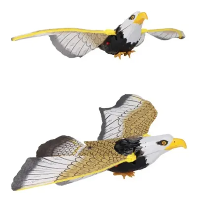 Орлан-белохвост выбран птицей 2013 года в России