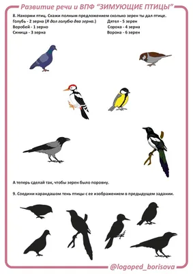Зимующие и перелетные птицы России | Путешествие по Карелии | Птицы,  Природоведение, Для детей