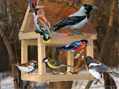 Рисунок Зимующие птицы №43845 - «Зимняя сказка» (07.01.2024 - 13:17)