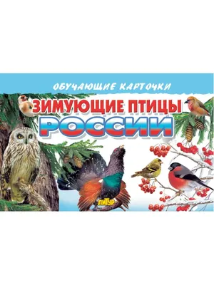 Зимующие птицы» - ЦБС г. Белгорода