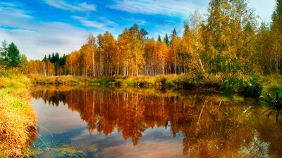 Картинки осень на рабочий стол (100 фото) • Прикольные картинки и позитив