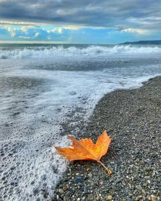 Фотосессия на море | Фотосессия, Женские позы, Пляжные портреты