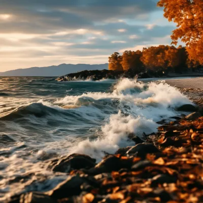 Осень в Поньгоме, у самого белого моря.