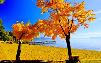 Встречайте осень у моря – Коттедж «Золотой Лев» в Песчаном