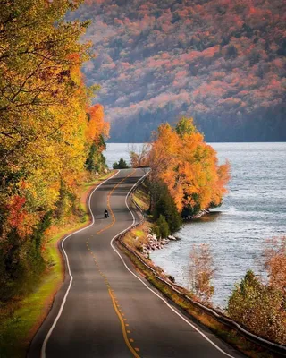 Доброе утро, осень 🍂 ⠀ Плюс ещё одна мечта в копилочку - встретили рассвет  на море 🌊 Это волшебно! ❤️ ⠀ #маринавойтюк #море #осень #крым… | Instagram