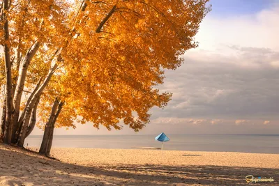 Осеннее море (57 фото) - 57 фото