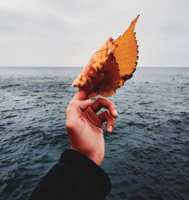 Осеннее море 🌊 | Водная фотография, Осенние фотографии, Пляжные фотографии  позы