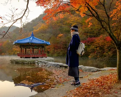 ТОП-12 мест в Корее, где можно увидеть самую красивую осень : VISITKOREA