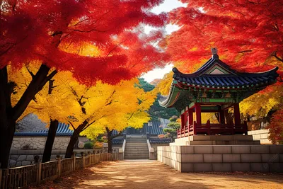 Осенние Наряды В Корее | Путешествия от А до Я | Дзен