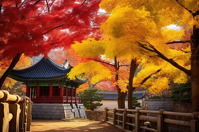 Кленовая осень в Корее: лучшие места страны с золотисто-красными пейзажами  | Ассоциация Туроператоров