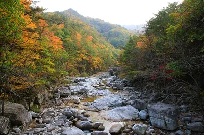 Тур Осень в Корее. Сеул, Пусан + острова - Южная Корея (Экскурсионный) 26  окт – 03 ноя по цене от 2 700 $ · YouTravel.Me