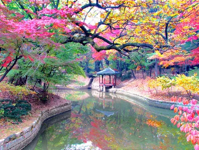 Осень в Корее стоковое фото. изображение насчитывающей среда - 40866134