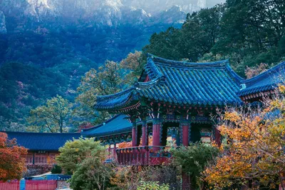 Танпхун в Корее: лучшие места в Сеуле, где можно полюбоваться кленами |  Ассоциация Туроператоров