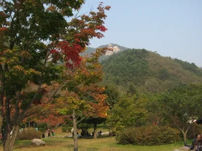 Осень в Сеуле Южная Корея, осень, древняя архитектура, дворец фон картинки  и Фото для бесплатной загрузки
