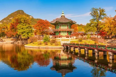 ЮЖНАЯ КОРЕЯ НОЯБРЬ 2017: Осень национального парка Naejangsan, Южной Кореи  Редакционное Фото - изображение насчитывающей корея, солнечно: 103916791