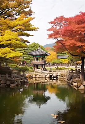 Красный осенний пруд в Корее, осень, архитектура, поездки внутри страны фон  картинки и Фото для бесплатной загрузки