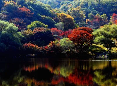 Осень в Южной Корее в фотографиях | GQ Россия
