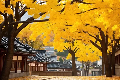 Веселье и традиции в Южной Корее: знаменитые фестивали осени | Ассоциация  Туроператоров