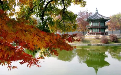 Осень в дворце Gyeongbokgung, Сеуле в Южной Корее Стоковое Изображение -  изображение насчитывающей королевско, естественно: 100128713
