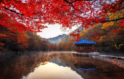 Осень в Корее :: Arximed – Социальная сеть ФотоКто
