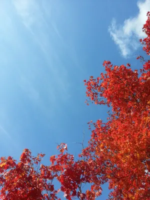 Осеннее небо - 70 фото