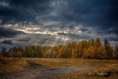 Осеннее небо | Пикабу