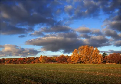 Картина \"Осеннее небо над полем с деревом в горах \" | Интернет-магазин  картин \"АртФактор\"