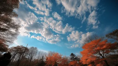 Осеннее небо, профессиональное фото, …» — создано в Шедевруме