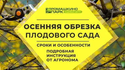 Обрезка плодовых деревьев и кустарников, в Москве и Подмосковье. Весенняя и Осеняя  обрезка яблонь, виноградников.